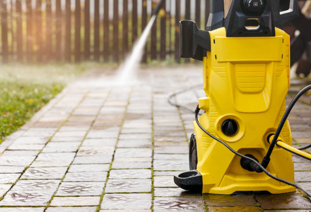 Animal Enclosure Cleaning in Palm Valley, FL